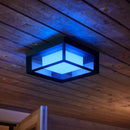 Econic 915005731901 | Plafoniere da Esterno | Lampade Smart Intelligenti | Philips Hue