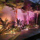 Amarant 1746630P7 | Faro LED RGB | Luci Smart | Philips Hue