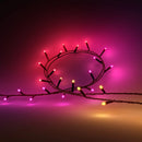 Philips Hue | Stringhe LED RGB | Festavia