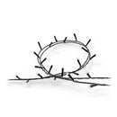 Festavia | Philips Hue | Stringhe LED RGB