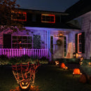 Festavia | Philips Hue | Stringhe LED RGB