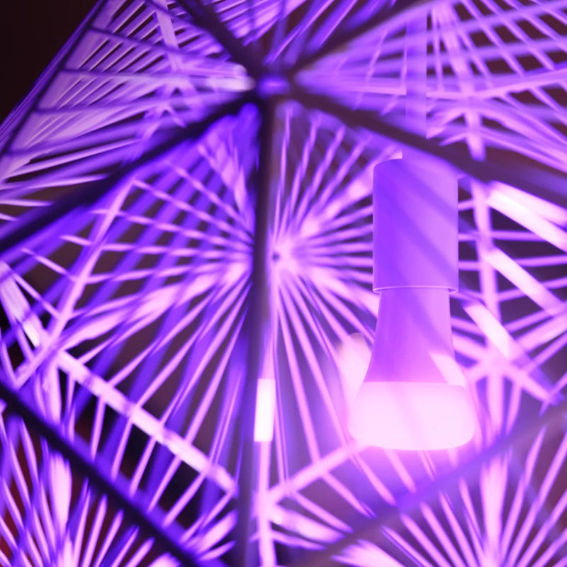 Philips HUE | Lampadine LED Smart intelligenti | Colour Ambiance