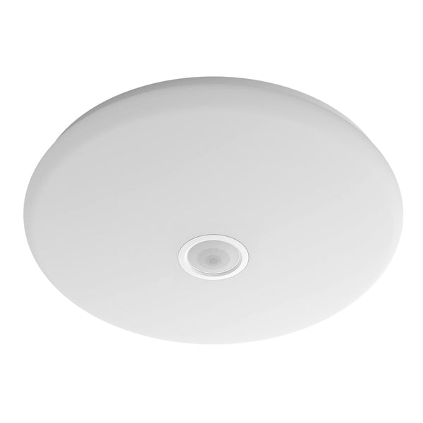 Lampada Da Parete O Soffitto Per Ambienti Umidi – Pawbol 22cm IP44 Grigia – Ideale Per Garage E Cantina - Foto 2