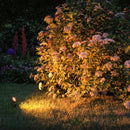 faretto con picchetto per illuminare piante aiuole cespugli bordure e dettagli del giardino