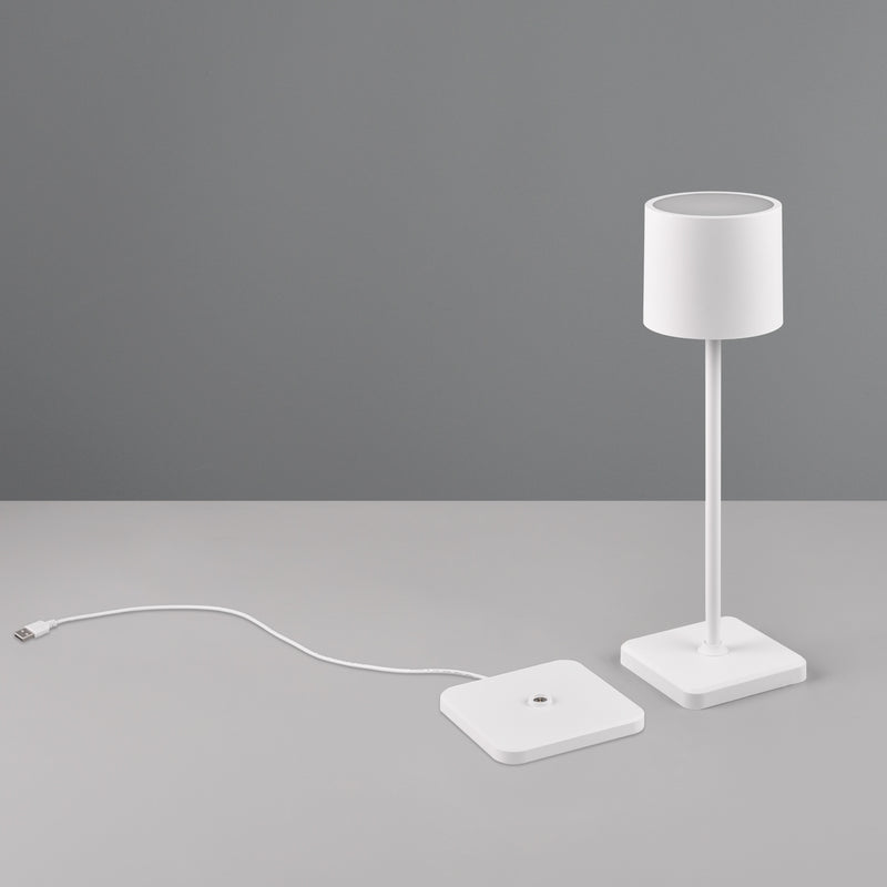 Lampada da Tavolo bianca LED ricaricabile modello Fernandez codice R54096131 marca Trio Lighting