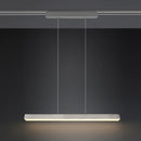 Lampadario LED Moderno in acciaio satinato installato su sistema di illuminazione a binario bifase DUOline di Trio Lighting