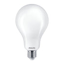 Lampadina LED Philips bianco freddo 6500K A95 E27 23W