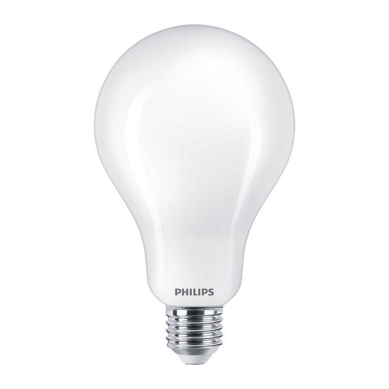 Lampadina LED Philips bianco freddo 6500K A95 E27 23W