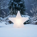 stella luminosa da giardino dimmerabile per sistema Plug & Shine con protezione IP67 e picchetto incluso