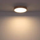 Rainer | Plafoniera LED | Globo Lighting