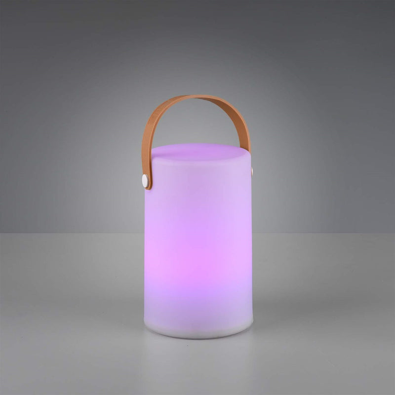 Aruba R57080101 - Lampada LED portatile e ricaricabile, da esterno, luce multicolor RGB