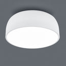 Baron 609800431 | Plafoniera moderna | Illuminazione cucina | Trio Lighting