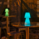 Lola 20 | Lampade Ricaricabili LED | Luce colorata RGB | NewGarden