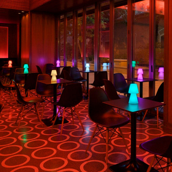 Lola 30 | Lampade LED Ricaricabili | Luce Colorata RGB | NewGarden