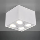 Biscuit 613000431 | Plafoniere moderne | Trio Lighting