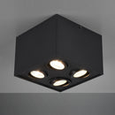 Biscuit 613000432 | Plafoniere moderne | Trio Lighting